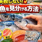 スーパーで失敗しない!新鮮な魚を見分ける方法